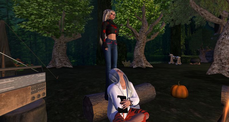 File:Starry-stand-log1.jpg