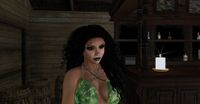 Snapshot 017.jpg