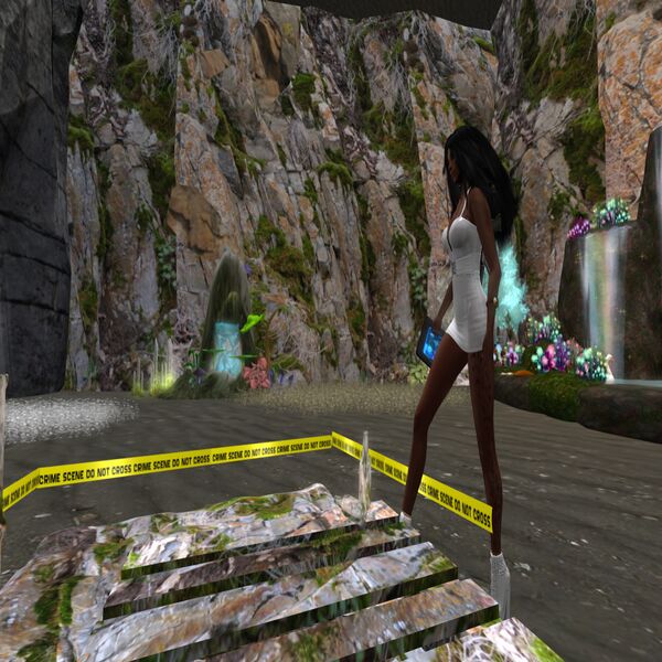 File:RioInvestigation.jpg