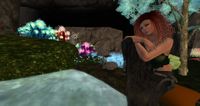 Snapshot 010.jpg