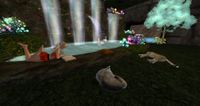 LelaWildlife 001.jpg