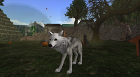 Snapshot 0906.png