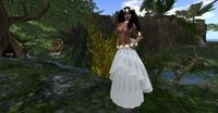 Snapshot344.jpg