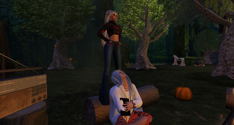 File:Starry-Stand-Log2.jpg
