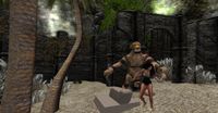 Snapshot 050.jpg
