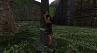Snapshot 019.jpg