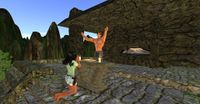 Snapshot 8011.jpg