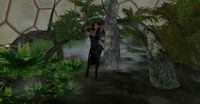 Snapshot 003.jpg