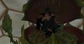 CaringSteve-Diedra 002.jpg