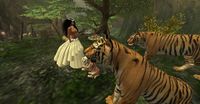 Snapshot 333.jpg