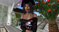 Snapshot 008.png