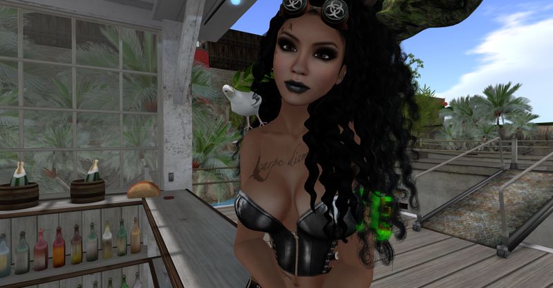 File:DiedraDove 001.jpg
