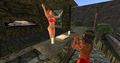 Snapshot 0817.jpg