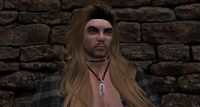 Lemac-Snapshot 009.jpg