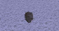 Coal