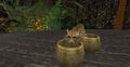 CheetaKidsSoup.jpg
