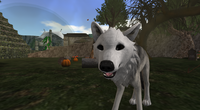 Snapshot 011.png