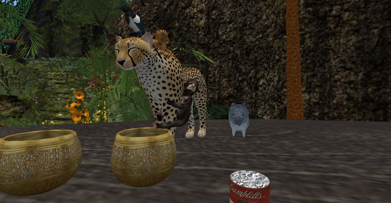 File:CheetakidsFood.jpg